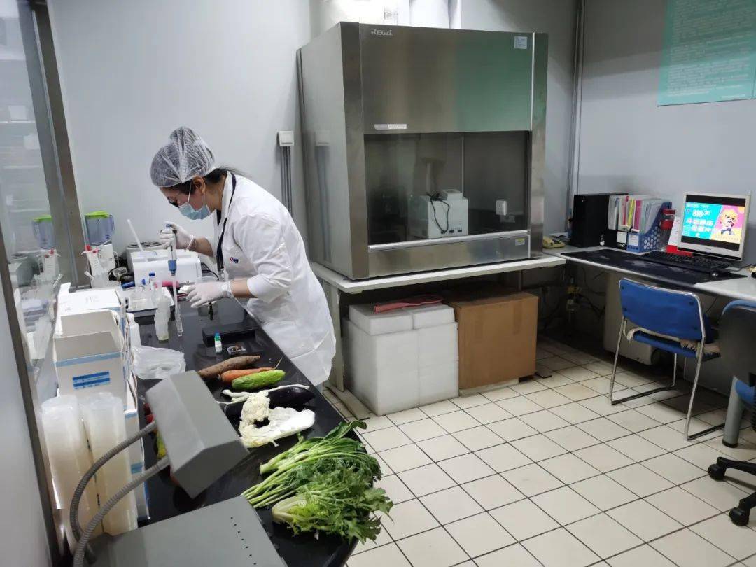 凤泉食品检测实验室装修方案